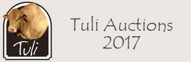 Rits Tuli's Total Dispersal Sale